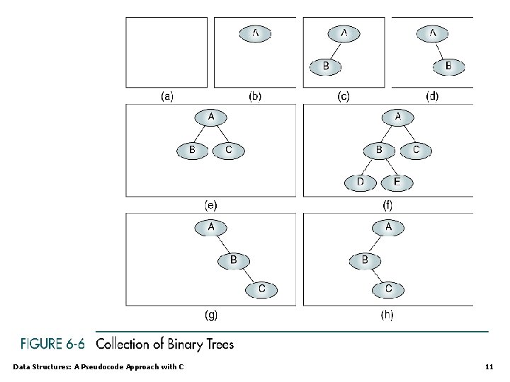 Data Structures: A Pseudocode Approach with C 11 