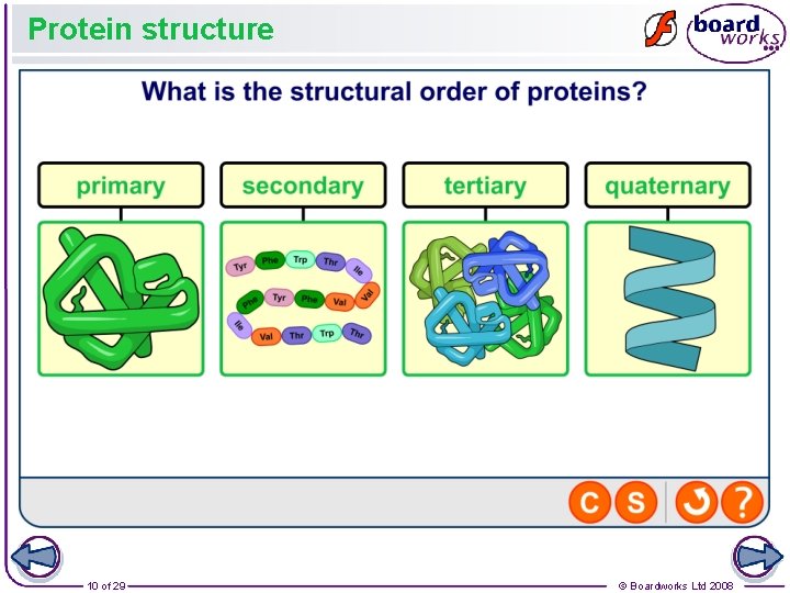 Protein structure 10 of 29 © Boardworks Ltd 2008 