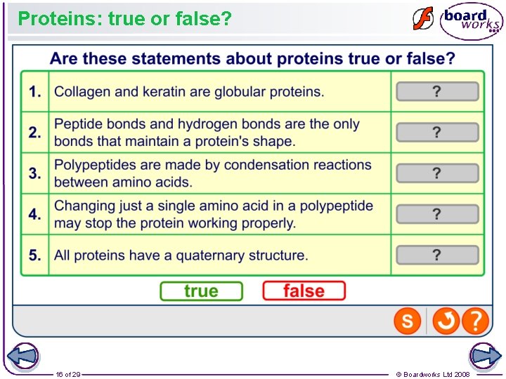 Proteins: true or false? 16 of 29 © Boardworks Ltd 2008 