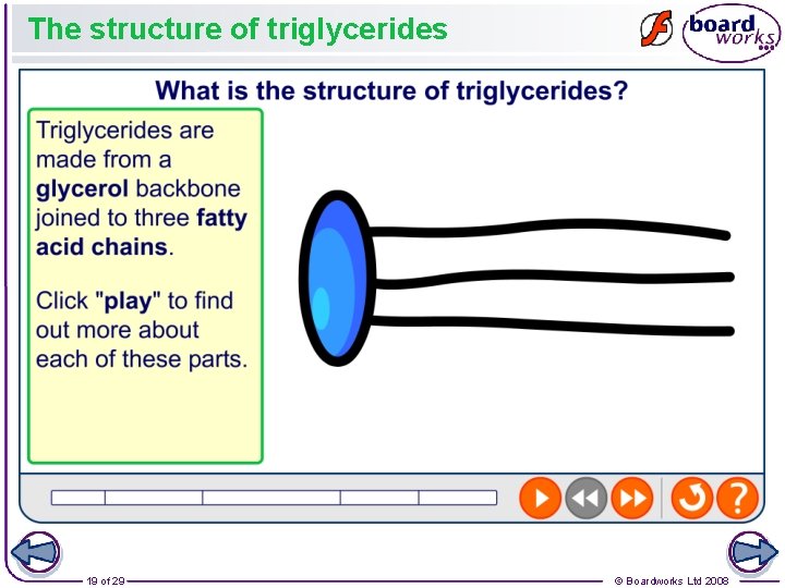 The structure of triglycerides 19 of 29 © Boardworks Ltd 2008 