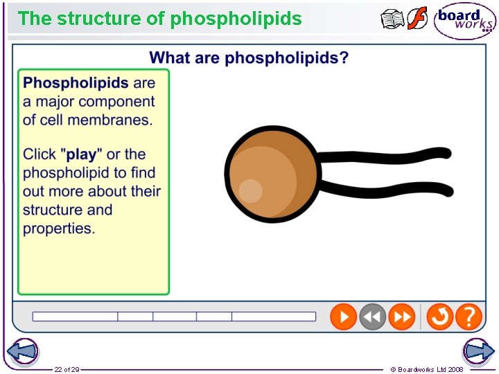 The structure of phospholipids 22 of 29 © Boardworks Ltd 2008 