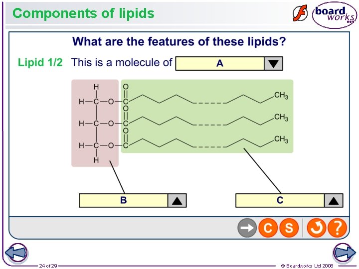 Components of lipids 24 of 29 © Boardworks Ltd 2008 