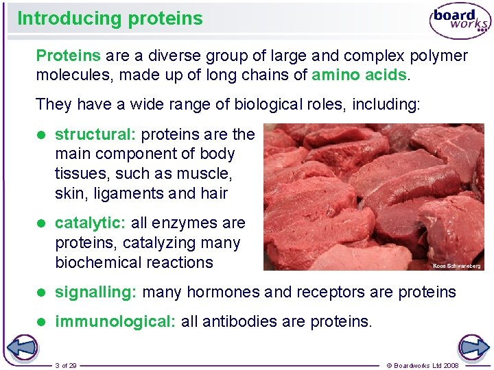 Introducing proteins Proteins are a diverse group of large and complex polymer molecules, made