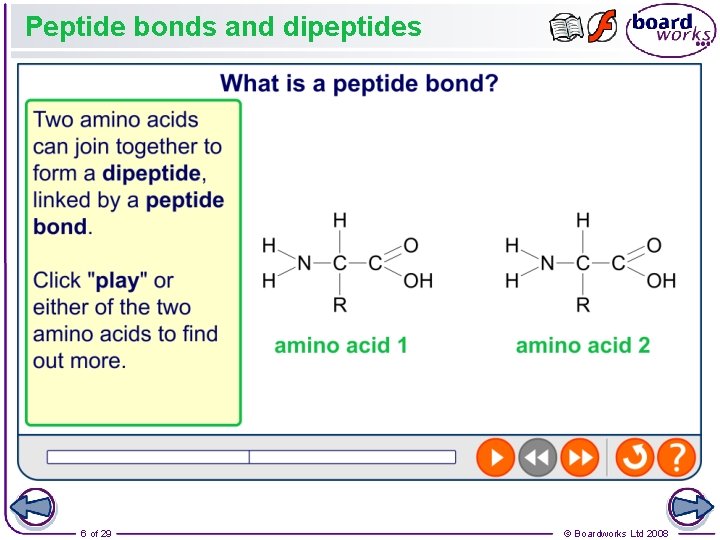 Peptide bonds and dipeptides 6 of 29 © Boardworks Ltd 2008 