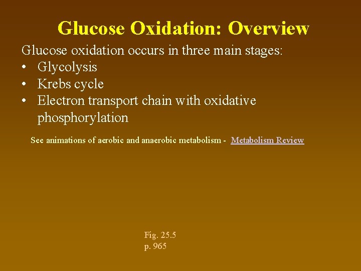 Glucose Oxidation: Overview Glucose oxidation occurs in three main stages: • Glycolysis • Krebs