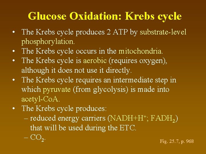 Glucose Oxidation: Krebs cycle • The Krebs cycle produces 2 ATP by substrate-level phosphorylation.