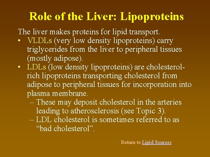 Role of the Liver: Lipoproteins The liver makes proteins for lipid transport. • VLDLs
