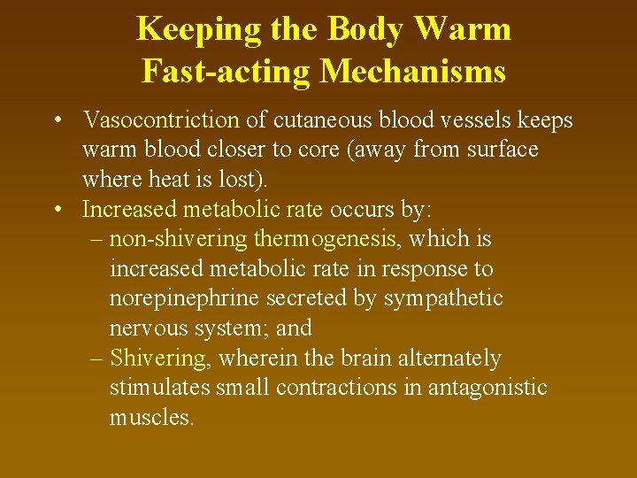 Keeping the Body Warm Fast-acting Mechanisms • Vasocontriction of cutaneous blood vessels keeps warm