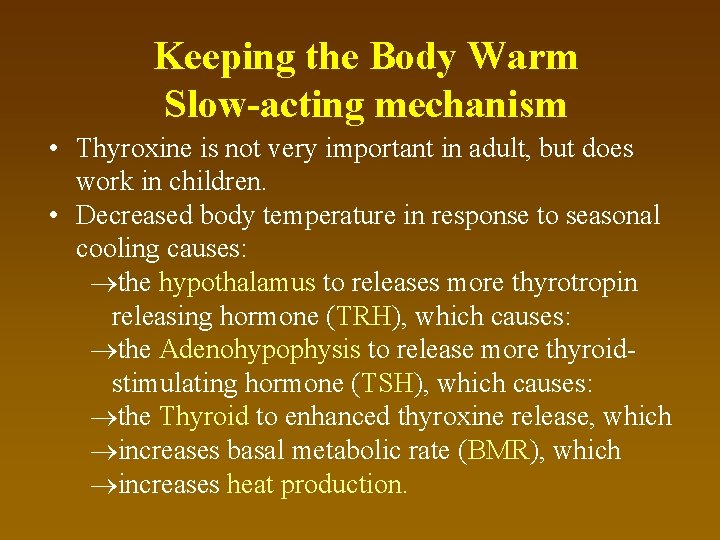 Keeping the Body Warm Slow-acting mechanism • Thyroxine is not very important in adult,