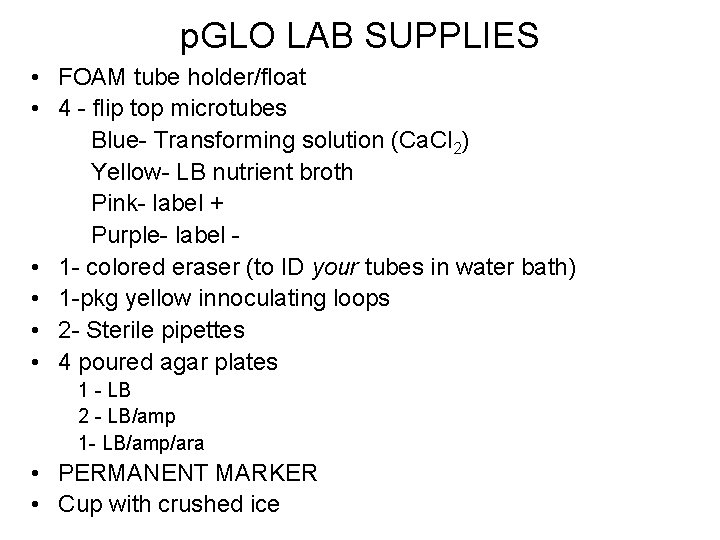 p. GLO LAB SUPPLIES • FOAM tube holder/float • 4 - flip top microtubes