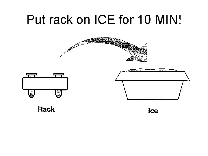 Put rack on ICE for 10 MIN! 