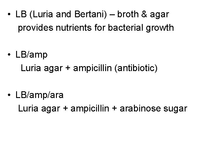  • LB (Luria and Bertani) – broth & agar provides nutrients for bacterial
