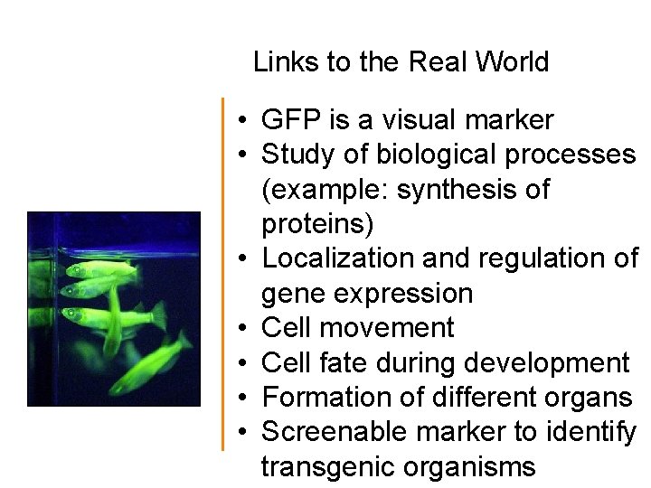 Links to the Real World Links to Real-world • GFP is a visual marker