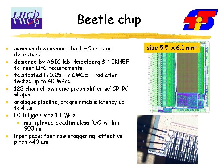 Beetle chip · · · · common development for LHCb silicon detectors designed by