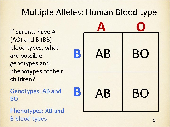 Multiple Alleles: Human Blood type If parents have A (AO) and B (BB) blood