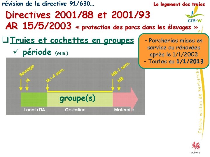 révision de la directive 91/630… Le logement des truies Directives 2001/88 et 2001/93 AR