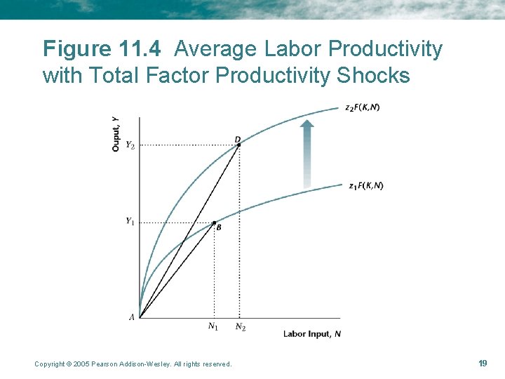 Figure 11. 4 Average Labor Productivity with Total Factor Productivity Shocks Copyright © 2005