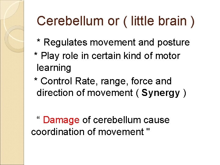 Cerebellum or ( little brain ) * Regulates movement and posture * Play role