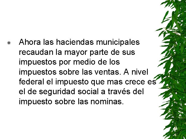  Ahora las haciendas municipales recaudan la mayor parte de sus impuestos por medio