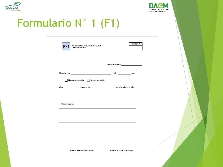 Formulario N° 1 (F 1) 