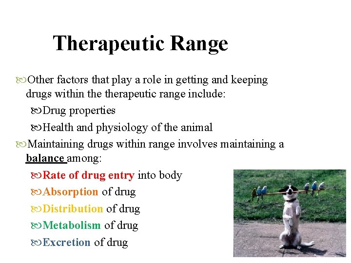 Therapeutic Range Other factors that play a role in getting and keeping drugs within