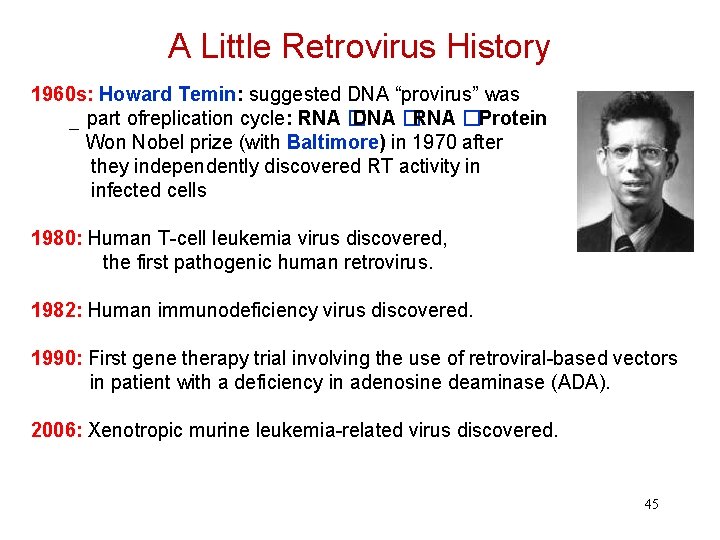 A Little Retrovirus History 1960 s: Howard Temin: suggested DNA “provirus” was part ofreplication