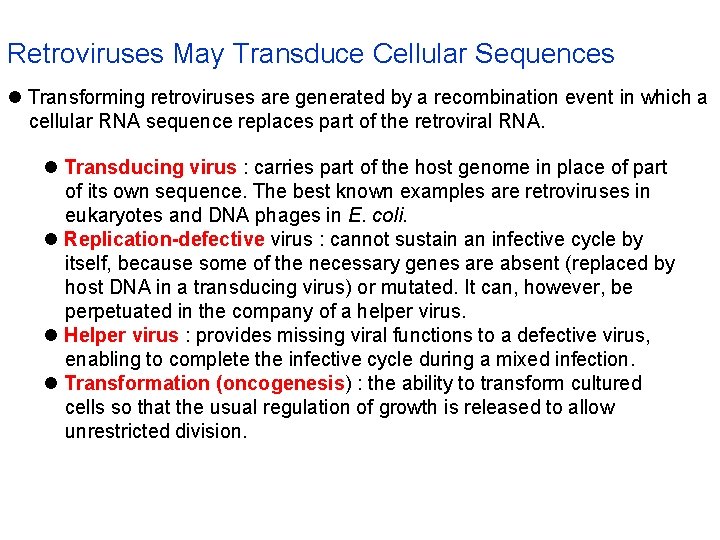 Retroviruses May Transduce Cellular Sequences l Transforming retroviruses are generated by a recombination event