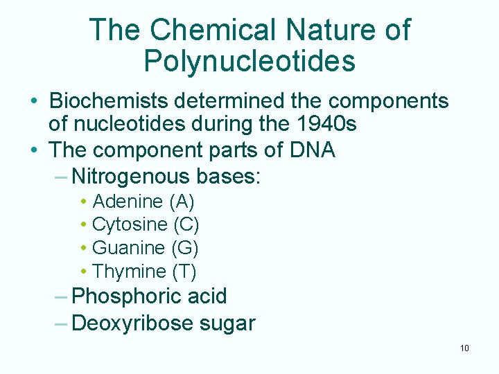 The Chemical Nature of Polynucleotides • Biochemists determined the components of nucleotides during the