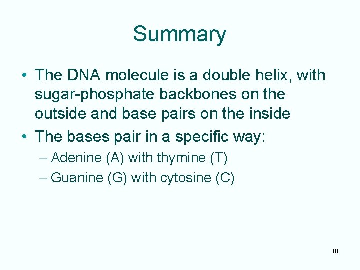 Summary • The DNA molecule is a double helix, with sugar-phosphate backbones on the