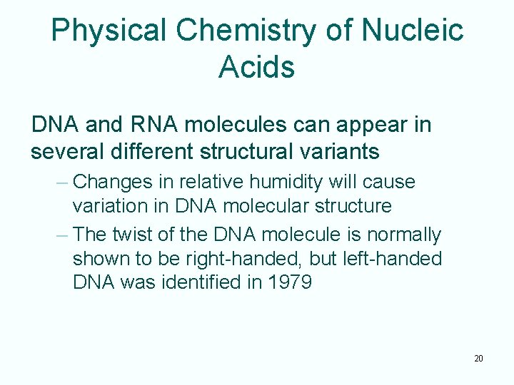 Physical Chemistry of Nucleic Acids DNA and RNA molecules can appear in several different
