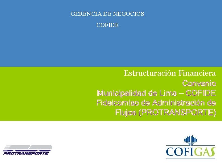 GERENCIA DE NEGOCIOS COFIDE Estructuración Financiera GERENCIA DE NEGOCIOS COFIDE 