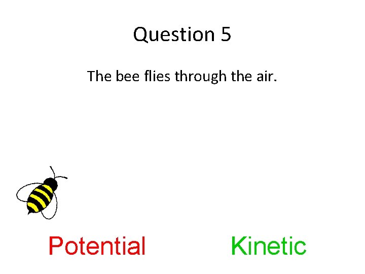 Question 5 The bee flies through the air. Potential Kinetic 