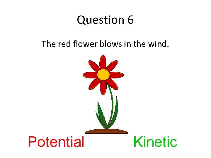 Question 6 The red flower blows in the wind. Potential Kinetic 