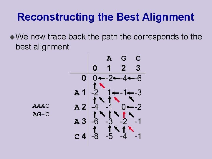 Reconstructing the Best Alignment u We now trace back the path the corresponds to