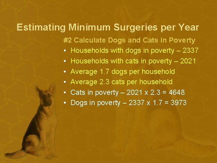 Estimating Minimum Surgeries per Year #2 Calculate Dogs and Cats in Poverty • Households