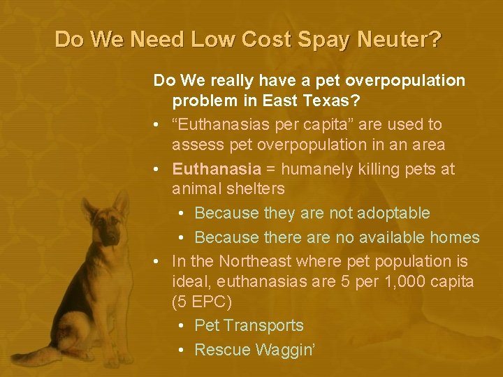 Do We Need Low Cost Spay Neuter? Do We really have a pet overpopulation