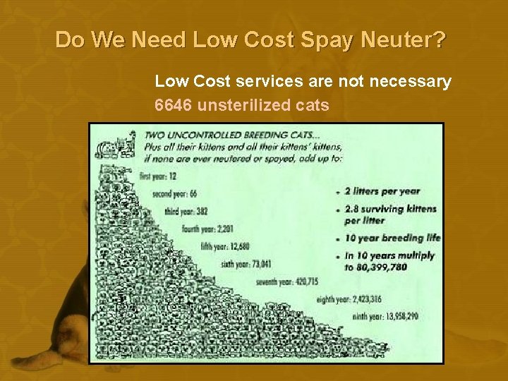 Do We Need Low Cost Spay Neuter? Low Cost services are not necessary 6646