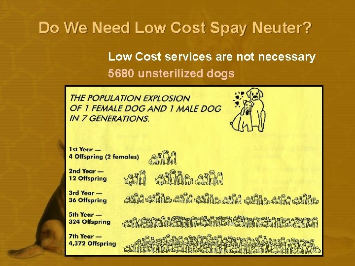 Do We Need Low Cost Spay Neuter? Low Cost services are not necessary 5680