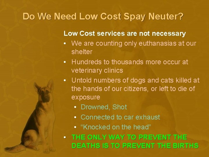 Do We Need Low Cost Spay Neuter? Low Cost services are not necessary •