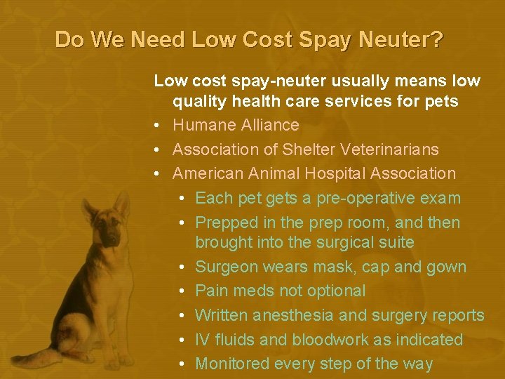 Do We Need Low Cost Spay Neuter? Low cost spay-neuter usually means low quality