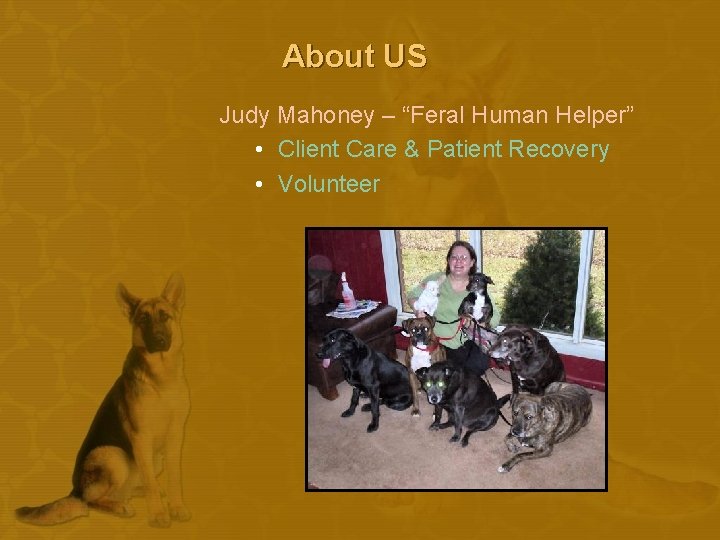 About US Judy Mahoney – “Feral Human Helper” • Client Care & Patient Recovery