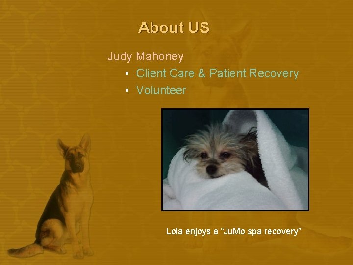 About US Judy Mahoney • Client Care & Patient Recovery • Volunteer Lola enjoys