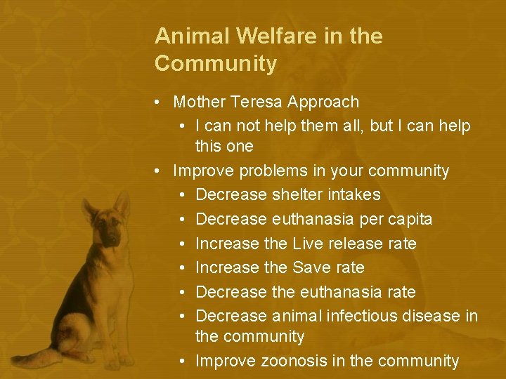 Animal Welfare in the Community • Mother Teresa Approach • I can not help