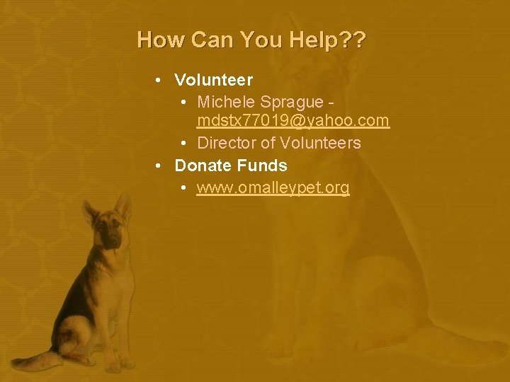 How Can You Help? ? • Volunteer • Michele Sprague mdstx 77019@yahoo. com •