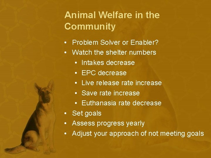 Animal Welfare in the Community • Problem Solver or Enabler? • Watch the shelter