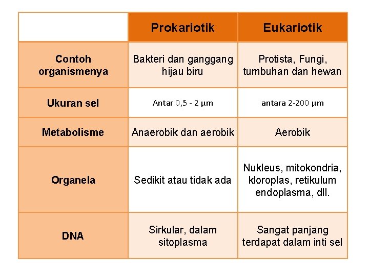 Prokariotik Eukariotik Contoh organismenya Bakteri dan gang hijau biru Protista, Fungi, tumbuhan dan hewan