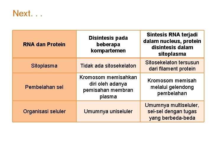 Next. . . RNA dan Protein Disintesis pada beberapa kompartemen Sintesis RNA terjadi dalam