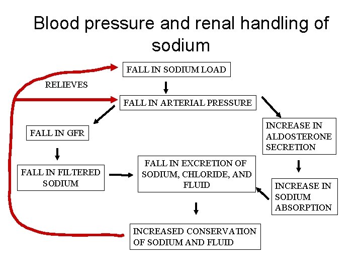 Blood pressure and renal handling of sodium FALL IN SODIUM LOAD RELIEVES FALL IN