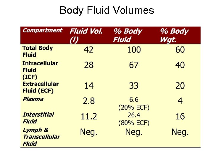 Body Fluid Volumes 