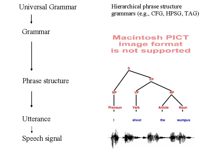 Universal Grammar Phrase structure Utterance Speech signal Hierarchical phrase structure grammars (e. g. ,